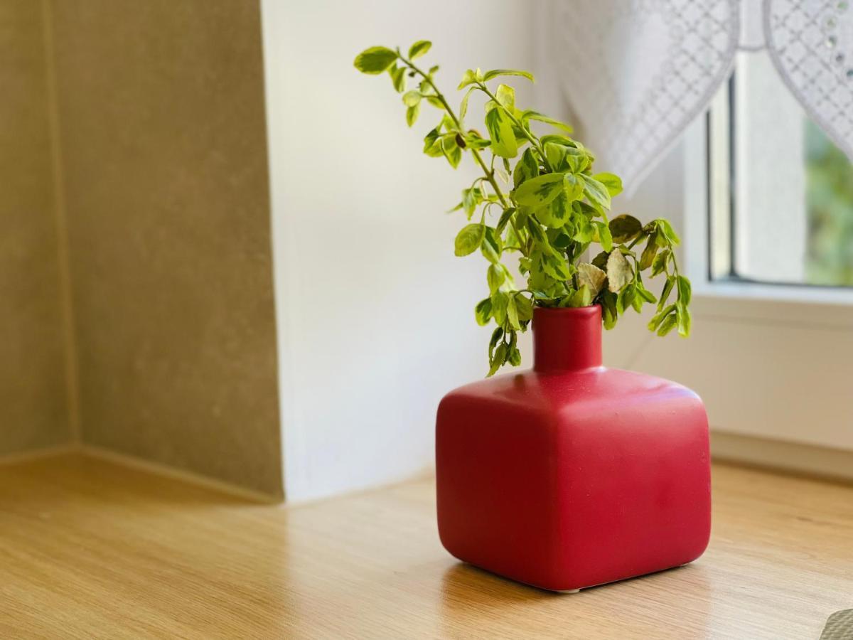 Dwie Sowy By Baltic Home Miedzyzdroje Luaran gambar